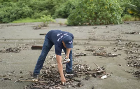 Tigo Panamá libera 86 tortugas en Playa Malena para celebrar el Mes de los Océanos 