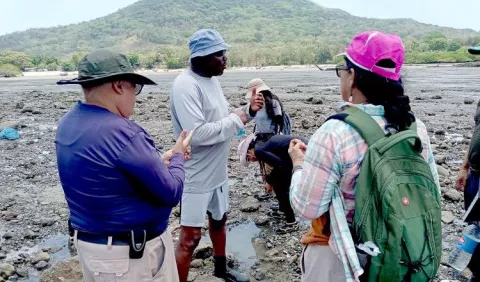 Investigación sobre la almeja blanca busca promover su conservación y explotación sostenible