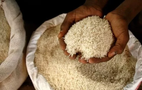 Precios de algunos productos agrícolas podrían aumentar debido a las fuertes lluvias