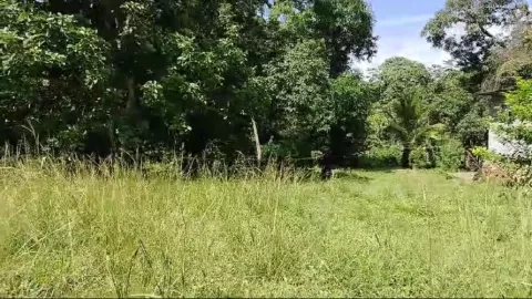 Hombre logra escapar de auto incenciado por desconocidos en Chicá de Chame 
