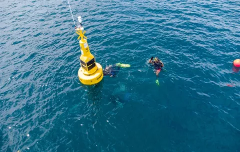 Panamá instala boya oceanográfica para estudio y conservación de la diversidad marina
