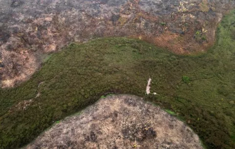 Brasil afila la precisión de la vigilancia satelital para combatir la tala en la Amazonía
