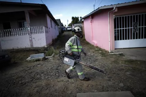 El dengue causa 46 muertes y 24.697 contagios 