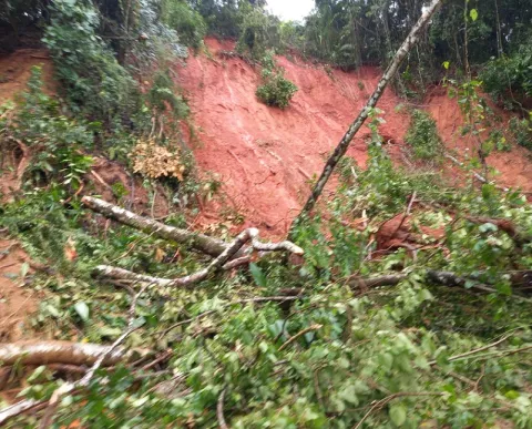 Se han registrado 56 deslizamientos de tierra por el mal tiempo en Chiriquí   