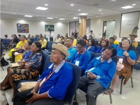 Comarcas presentan alto índice de fracasos educativos 