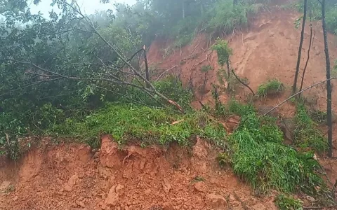 Más de 20 familias afectadas por las intensas lluvias caídas en el distrito de Mariato, Veraguas 