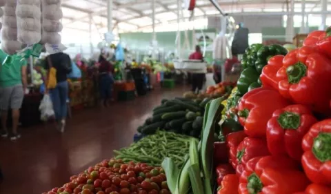 Confirman que hay abastecimiento de productos en Merca Panamá