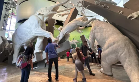 Abren museos a niños y estudiantes para  conectarlos con el arte y la cultura