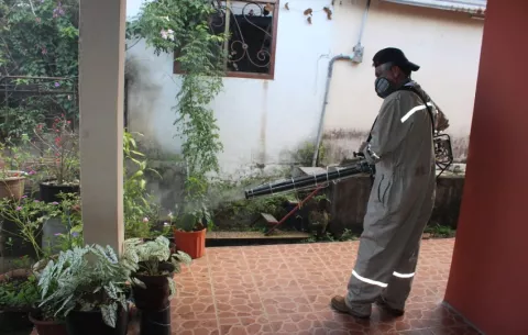 Dengue y oropouche podrían presentarse al mismo tiempo en un solo paciente