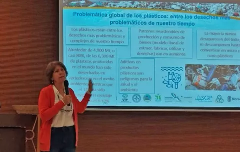 Taller multisectorial  busca generar sinergias contra desechos plásticos en Panamá