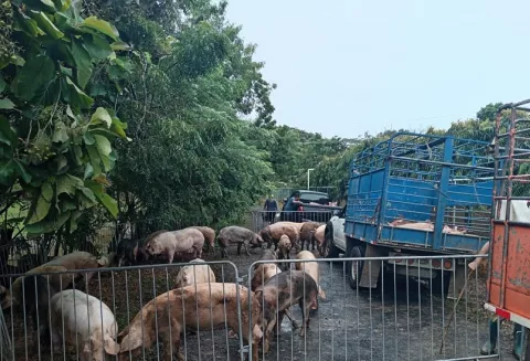 Banco Nacional evaluará, caso por caso, afectación ocasionada por las lluvias a productores