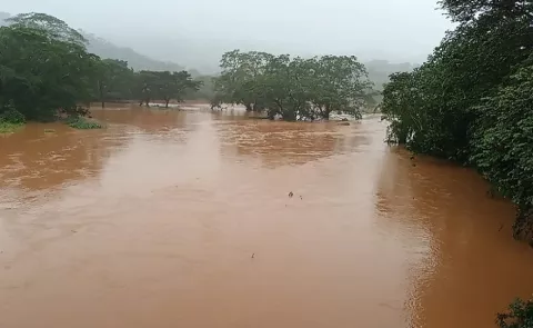 Pese a lluvias, no habrá escasez de arroz, afirman autoridades