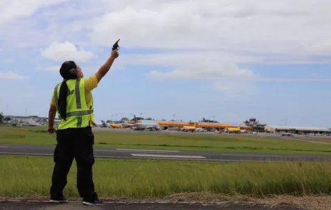 Aeropuerto refuerza medidas para proteger vuelos durante migración de aves
