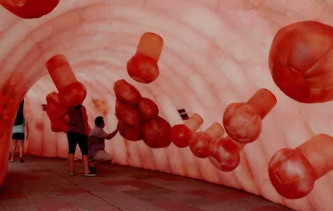 Cáncer colorrectal aumenta en jóvenes; causas se desconocen 