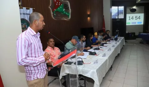 Mulino ha visto un carnaval de locuras en las consultas públicas