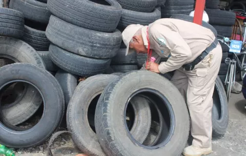 Panamá registra 31,605 casos de dengue y 52 fallecidos