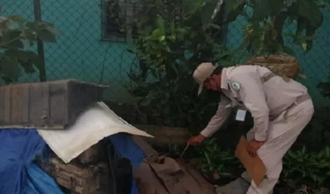Cantidad de casos de dengue podría ser similar en 2025