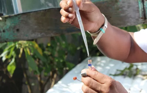 Panamá registra 31,048 casos acumulados de dengue