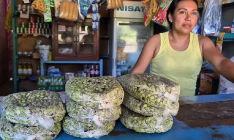 La producción de guandú  en riesgo por exceso de lluvias en Pesé