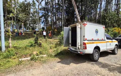 Tragedia en Las Minas: Hombre pierde la vida mientras realizaba trabajos de tala