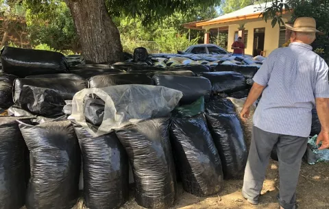 Ganaderos de Los Santos enfrentan incertidumbre ante temporada seca de 2025