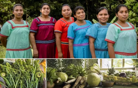 Mujeres ngäbe lideran proyecto para promover y preservar su cocina ancestral