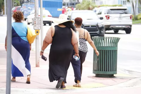 Minsa activa estrategias para reducir la obesidad en la población