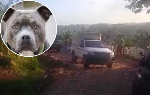 Niña de 5 años muere tras ataque de perro pitbull en Kuna Nega