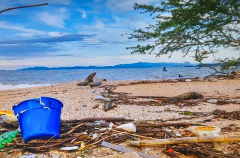 Navarro lanza advertencia: 'Para  2050 habrá más plásticos que peces en el mar'