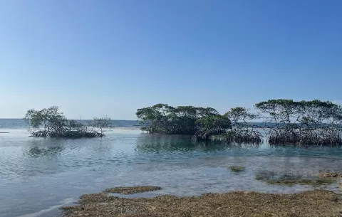 Presentan iniciativa para crear Corredor Biológico Marino en Santa Isabel 