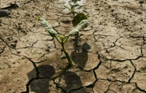Altas temperaturas han sido más notorias en zonas costeras de Panamá