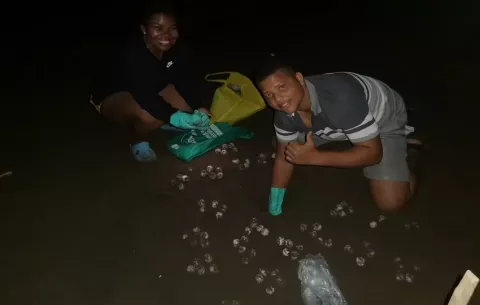 Comunidad en Chepigana trabaja unida para proteger las tortugas marinas
