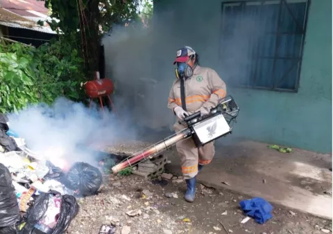 Aumentan a 50 los fallecidos por dengue