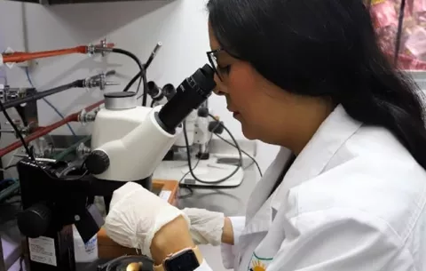 Vigilancia fitosanitaria resguarda la salud y los alimentos