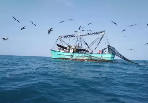 ARAP crea app para minimizar delitos en el mar