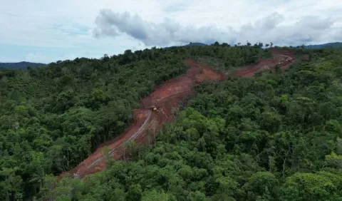 Corredor del Caribe: ¿Daño ambiental o desarrollo?