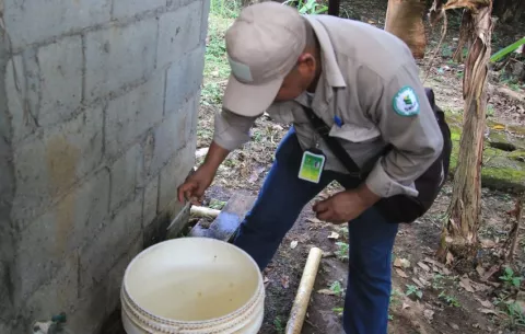 Panamá cerró 2024 con más de 32 mil casos de dengue, cifra histórica en el país