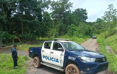 Trabajador muere electrocutado en Mariato, cuando podaba unos árboles 