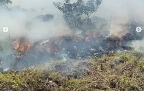 Más de mil hectáreas afectadas por incendio forestal en Cerro Guacamaya, Penonomé