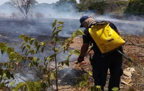 Un simulacro de incendio de masa vegetal se realizará este domingo