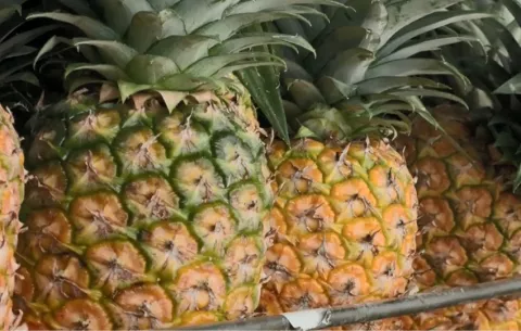 Costa Rica denuncia que apelación de Panamá ante la OMC es un acto temerario y de mala fe