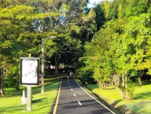 Parque Omar no cobrará uso de estacionamientos, las instalaciones son para uso familiar, cultural y deportivo