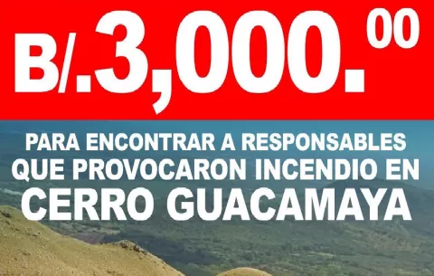 MiAmbiente ofrece recompensa de $3 mil por información sobre incendio en el cerro Guacamaya