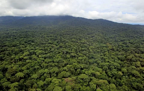 Desmantelan una red de minería 'ilegal' en la selva del Darién e incautan frascos con oro