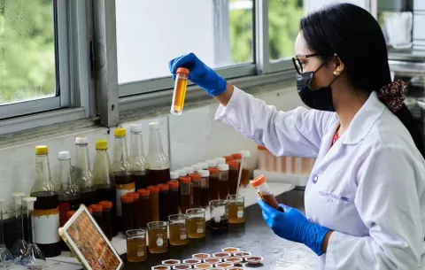Número de investigadores en Panamá aumentó en 2024