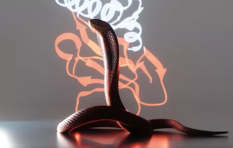 Crean con IA nuevas proteínas que neutralizan  toxinas letales del veneno de serpiente