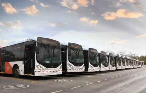Más de 400 buses están a la espera para ser habilitados