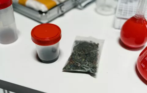 En la recta final cambios a la reglamentación del cannabis