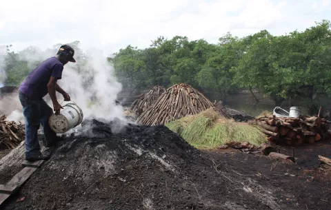 Nueva propuesta para carboneros de Espavé en el distrito de Chame 