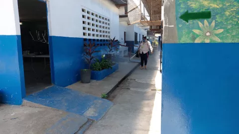 El 50% de los colegios en Chiriquí  fueron nebulizados para combatir al mosquito transmisor del dengue